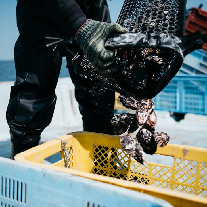 ひがた美人 牡蠣のアヒージョ／お酒といっしょに楽しむ牡蠣 | ひがた