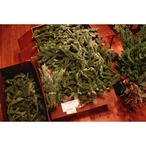 クリスマスリース花材【オレゴンモミ】