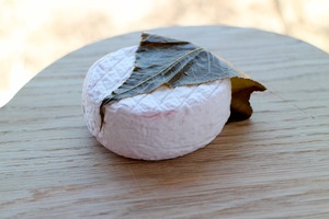 【春限定】酵母熟成ソフトチーズ：MIMAKI Kimoto Sakuramochi（ミマキ・生酛=桜餅）