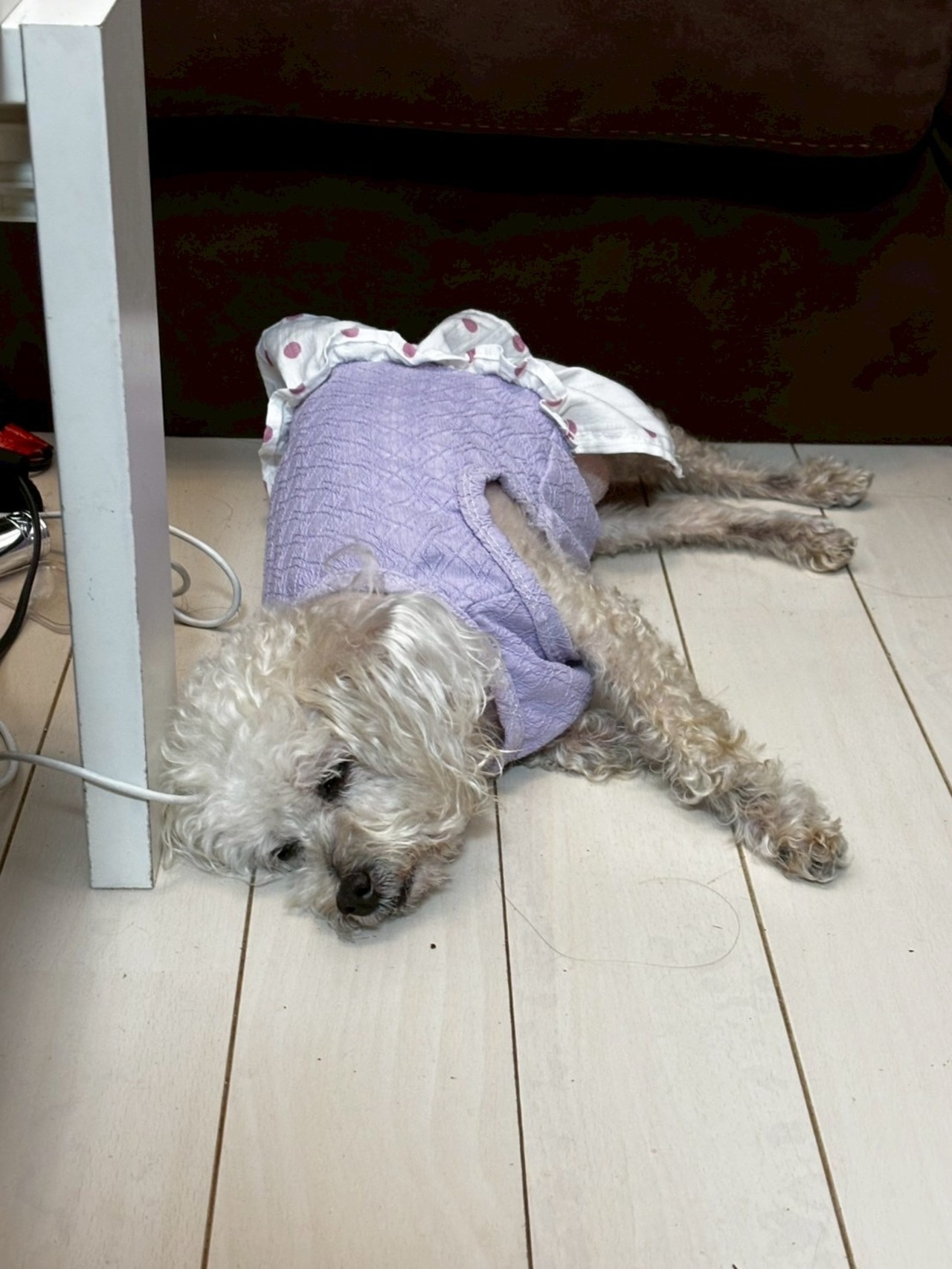 いろのかけら×ただいま「ちょっと近いんだけど」マロン♡レア