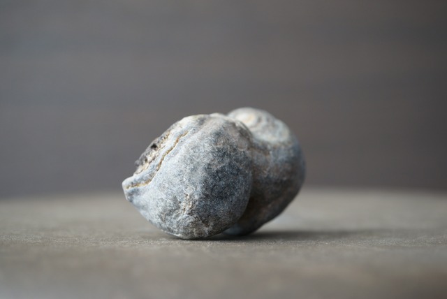 ゴビアゲート Gobi Agate 1686