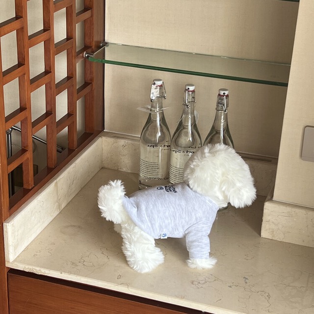 〈予約アイテム〉PEBBLES / スウェット for humanwalkers (navy)