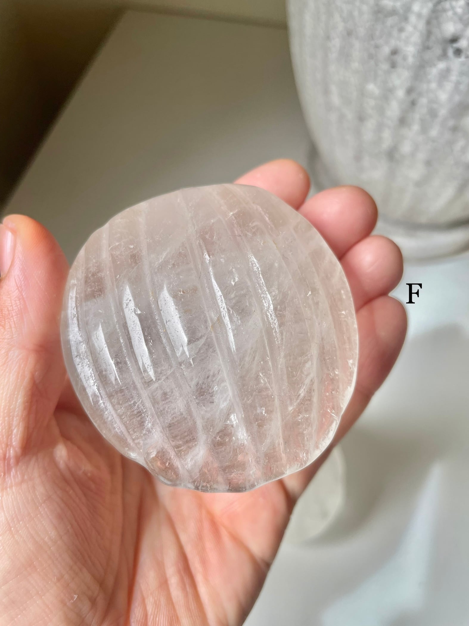 Crystal Shell / 水晶　貝