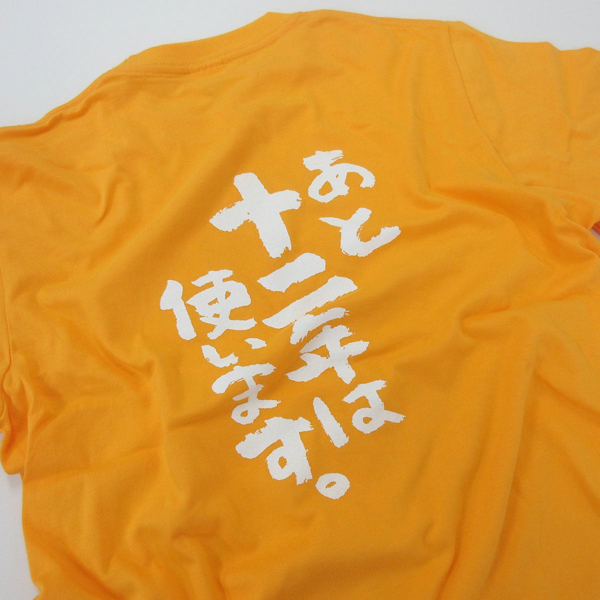 この身体八十八年使ってきました。 Tシャツ ka300-45 米寿祝い 米寿