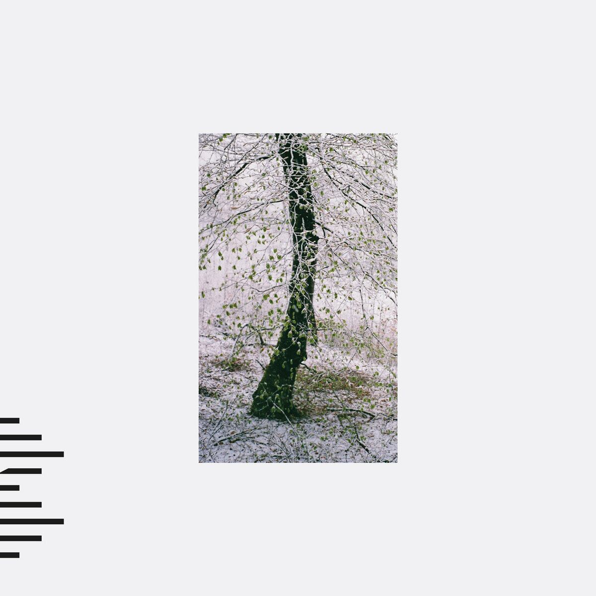 エクスペリメンタル | PASTEL RECORDS | パステルレコーズ〜奈良より