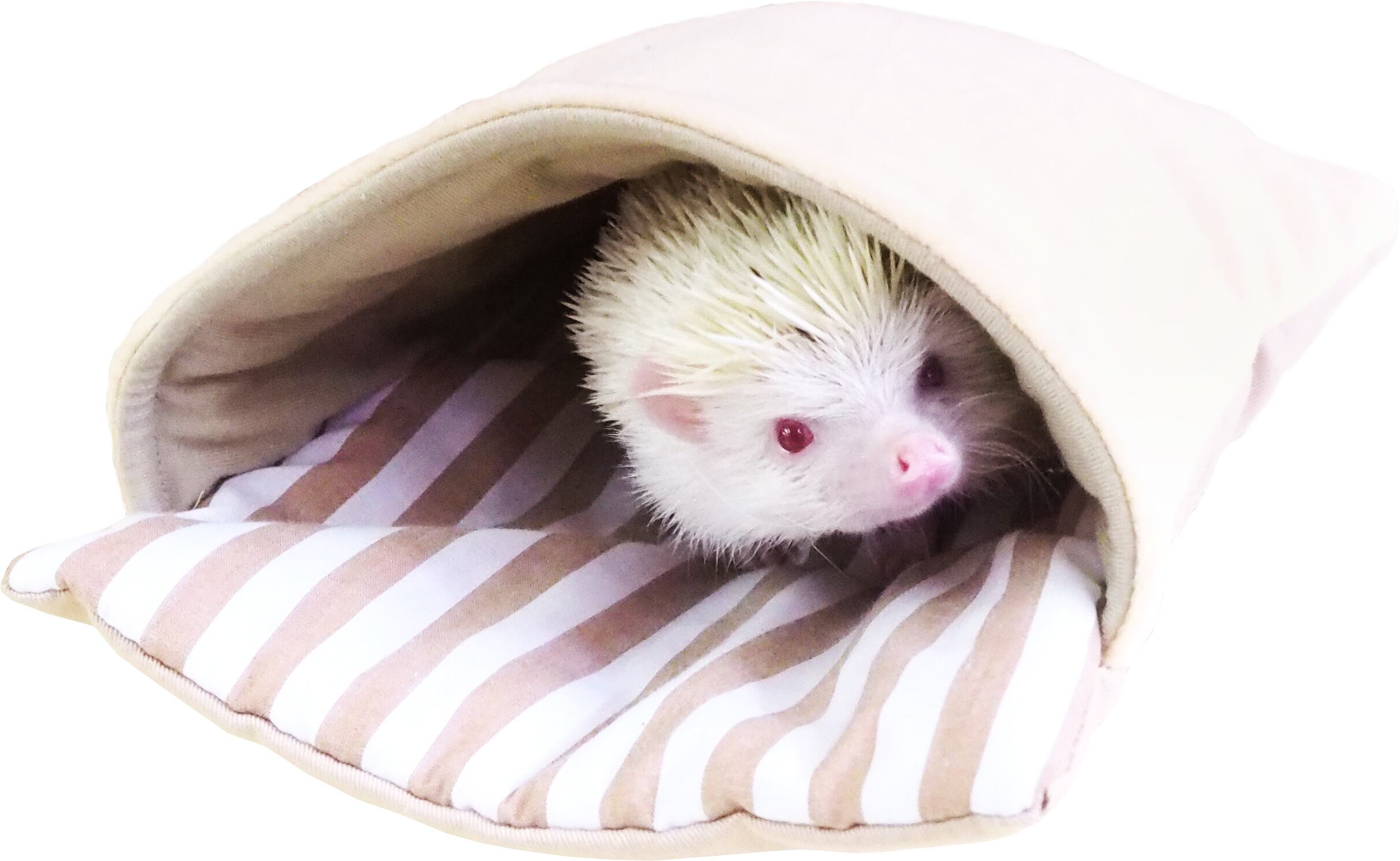 【小動物用品】もぐって寝ぶくろ ベージュ/グリーン