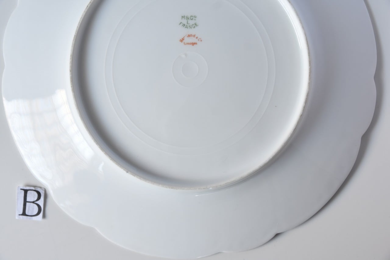 Limoges / リモージュ / お花柄のディナープレート / B | destrucs