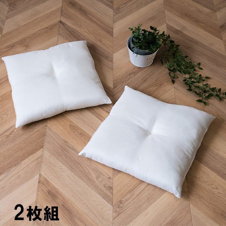 クッション ヌード 2P シート IV 45X45 45×45cm 日用品 日本製