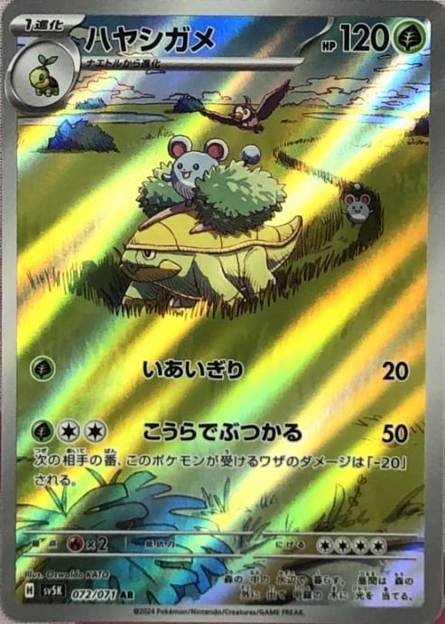 【美品】ハヤシガメ(AR)