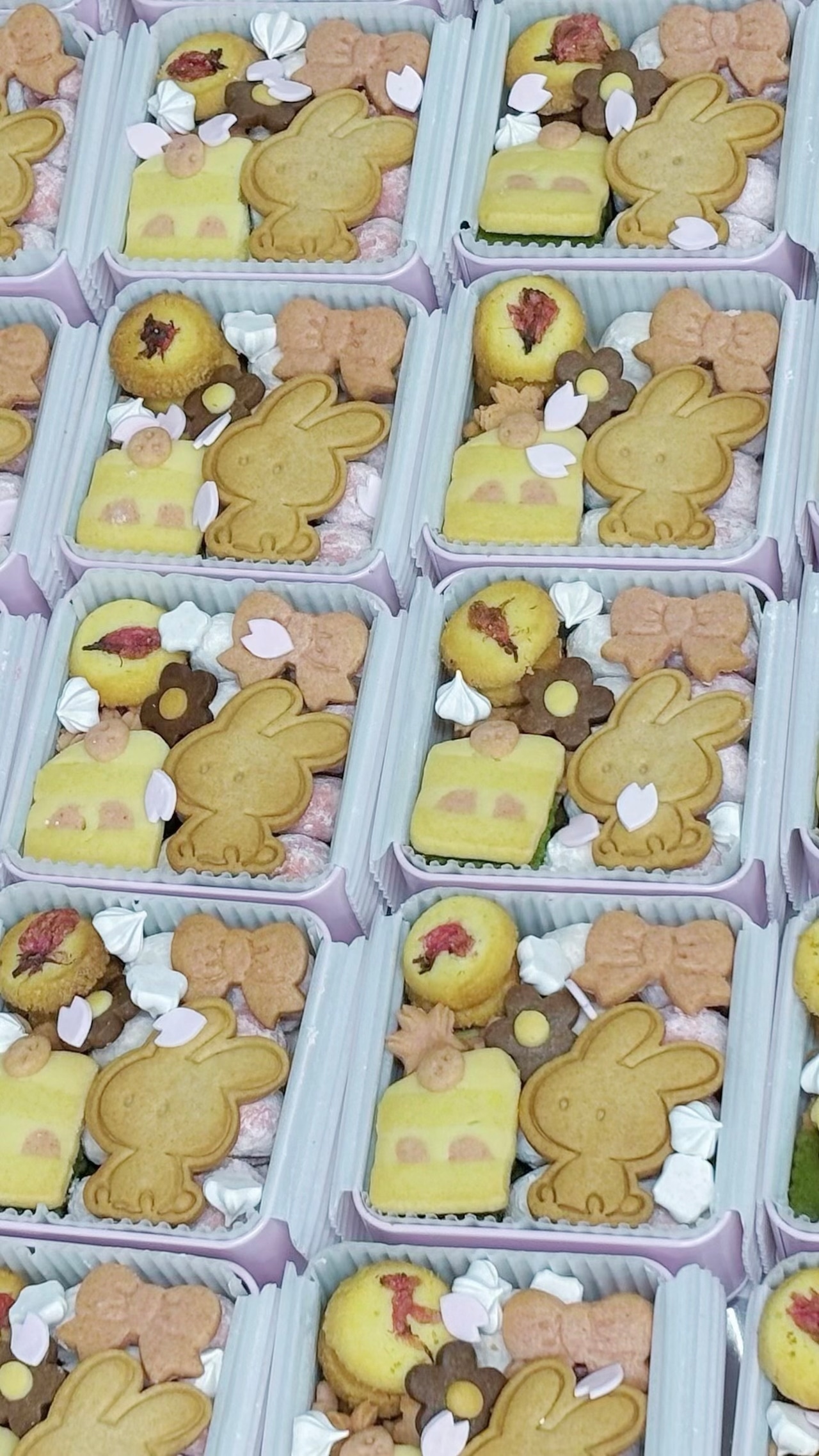 【春限定】いちごと桜のクッキー缶