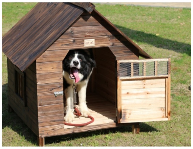 天然木製の犬小屋 サイズ 木で組立てる犬小屋 屋根 取り外しお掃除ラクラク ワンちゃんハウス ドア付き Diyする犬小屋 2台即納可能 ワンちゃんの素敵なアイテムとレディーの美容のセレクトショップワンワンダフル