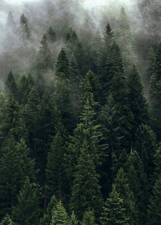 ご購入前に必ずお読み下さい