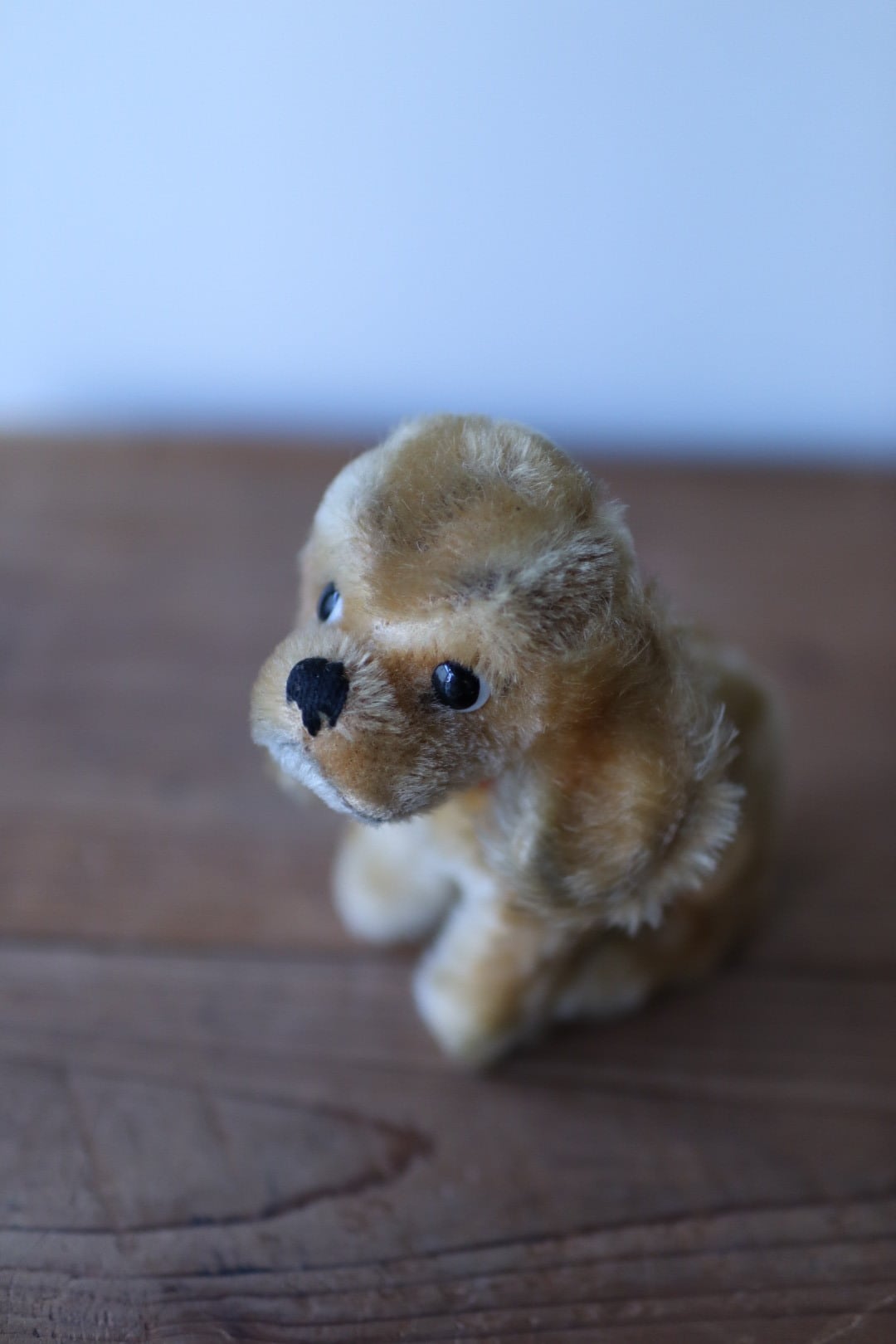 ヴィンテージ シュタイフ 犬 コッカースパニエル Revue Susi 12㎝