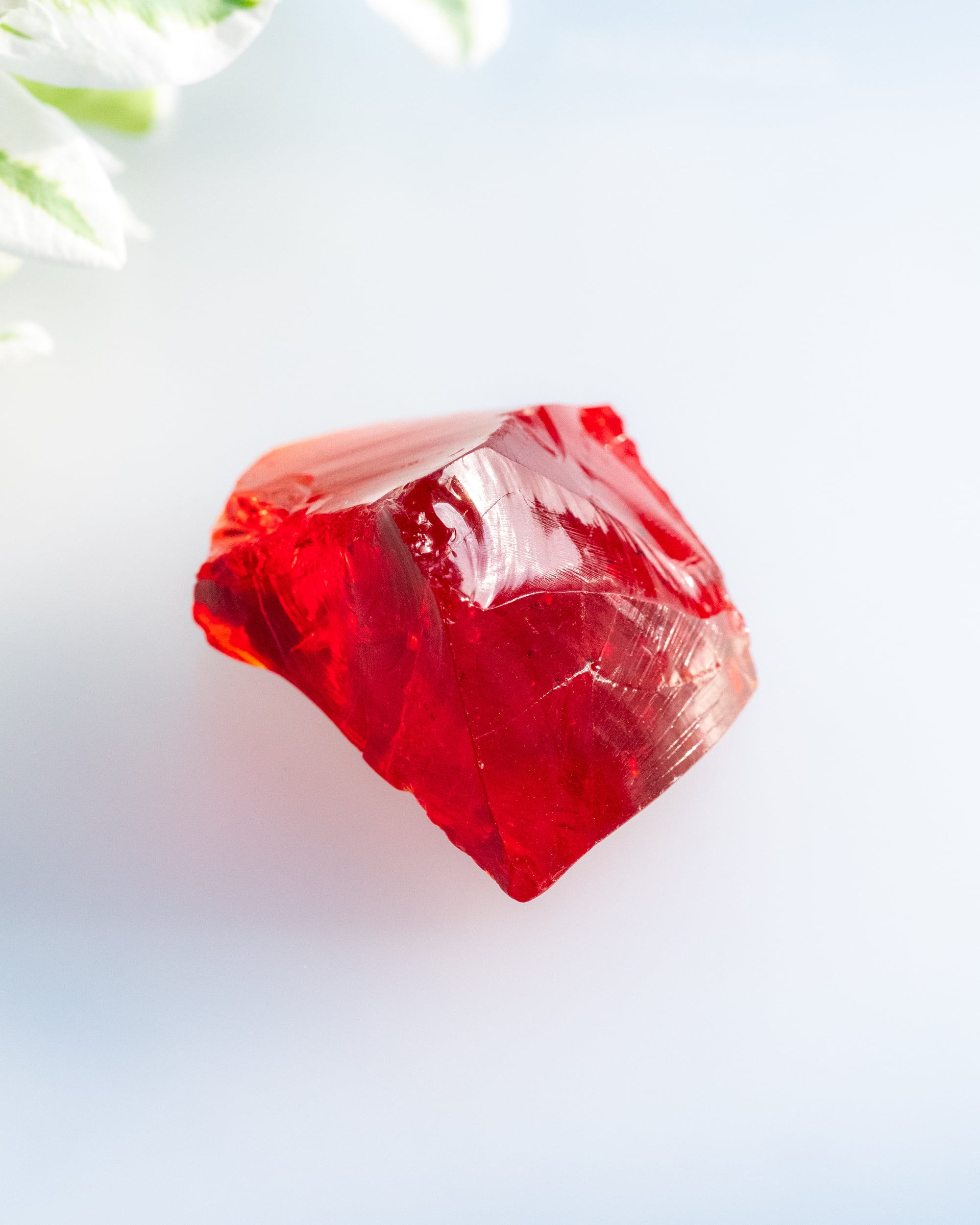 ピスタチオ様★専用★超本物‼️ネリーランド産✡️アンダラ スカーレットシフト ピスタチオ様☆専用☆超本物‼️ネリーランド産✡️アンダラ