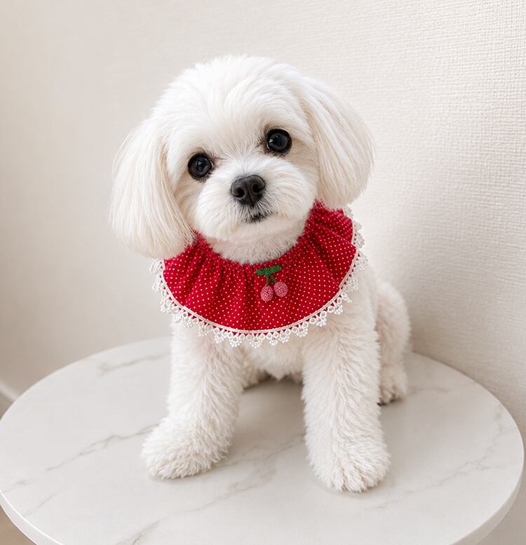 cherry cape 2color  /  犬 首輪 おしゃれ ドット柄 チェリー 可愛い バンダナ 犬 記念撮影 アクセサリー 小型犬 中型犬 犬服 韓国 ペット用品 ドッグウェア ケープ