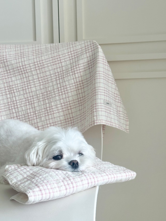 〈即納アイテム〉EYOU / ソフトデイズクールピロー- ピンクチェック