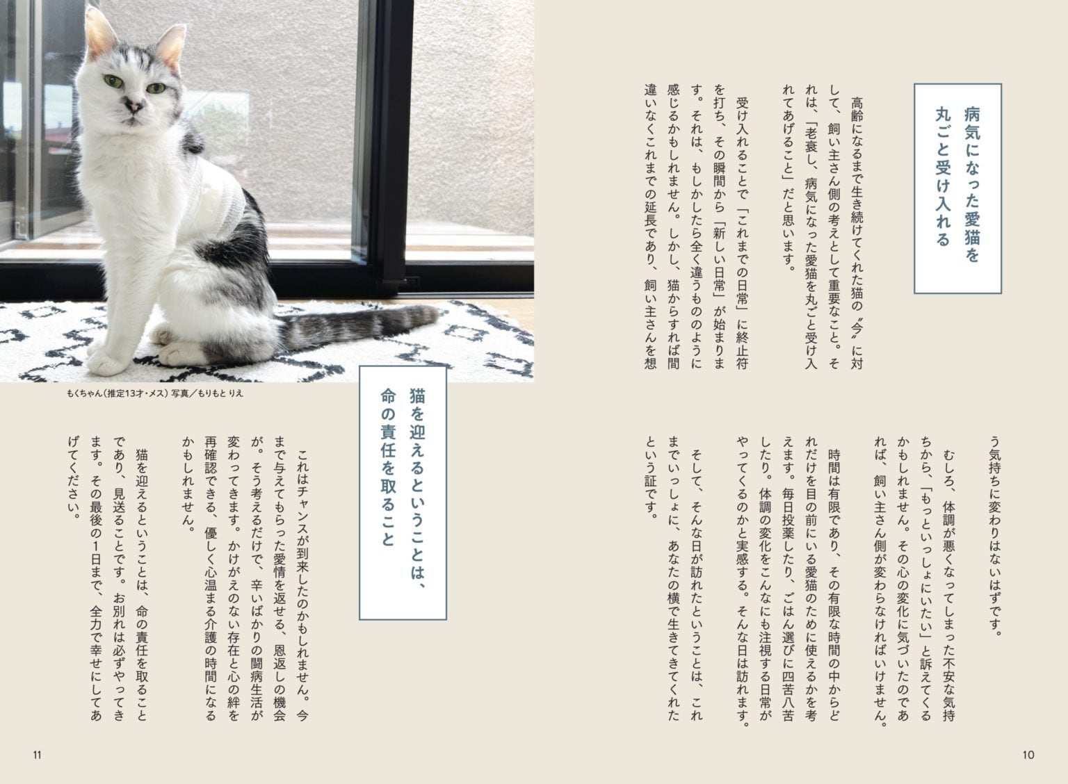 ※裁断済 猫の主訴100から紐解く診療ハンドブック 書籍『猫の介護ハンドブック ~気持ちに寄り添う緩和ケア