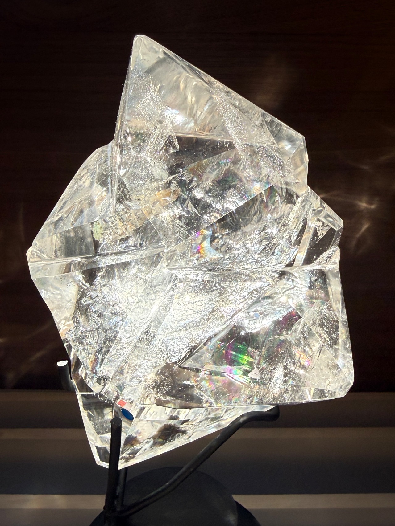 一点もの✨アイリスレムリアン　フリーフォーム　1.1kg・画像6