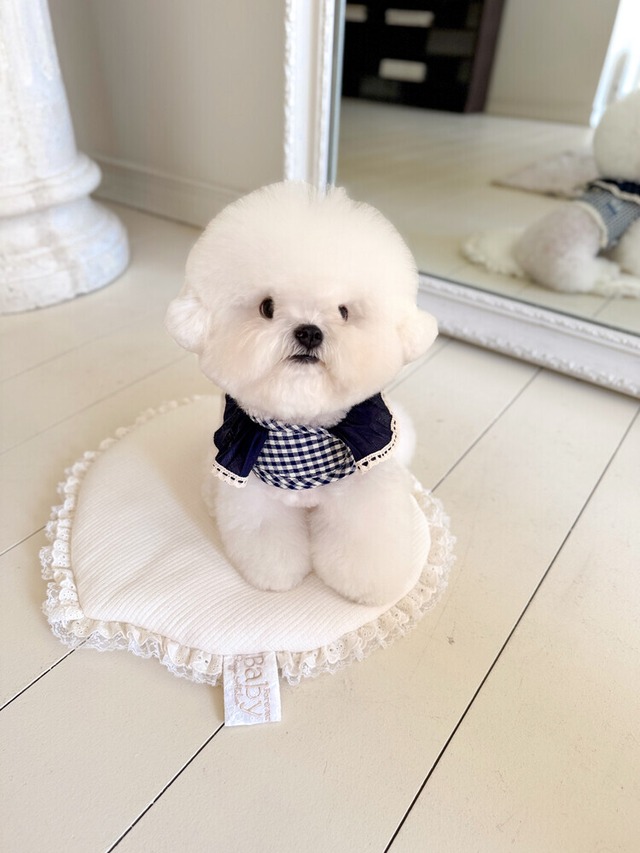 〈予約アイテム〉SICGGU / メゾンセーラークーリングハーネス