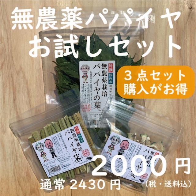 【長崎島原産】【セットがお得】無農薬栽培パパイヤ３点セット