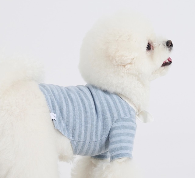 リボンティー　-　(BLUE)