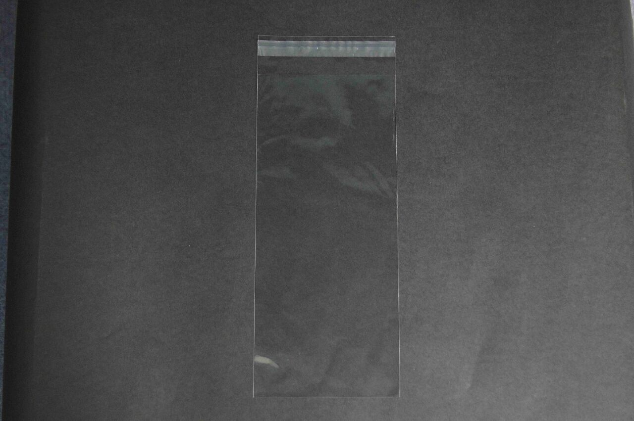 雑貨小分け包装・部品、資料整理(OPP袋 OPP袋 雑貨袋 テープ付き)横130×縦300+フタ40mm 30μ(0.03mm)【1,000枚】