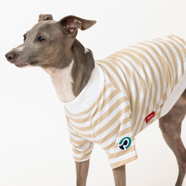 ボーダーTシャツ　beige / イタグレ服