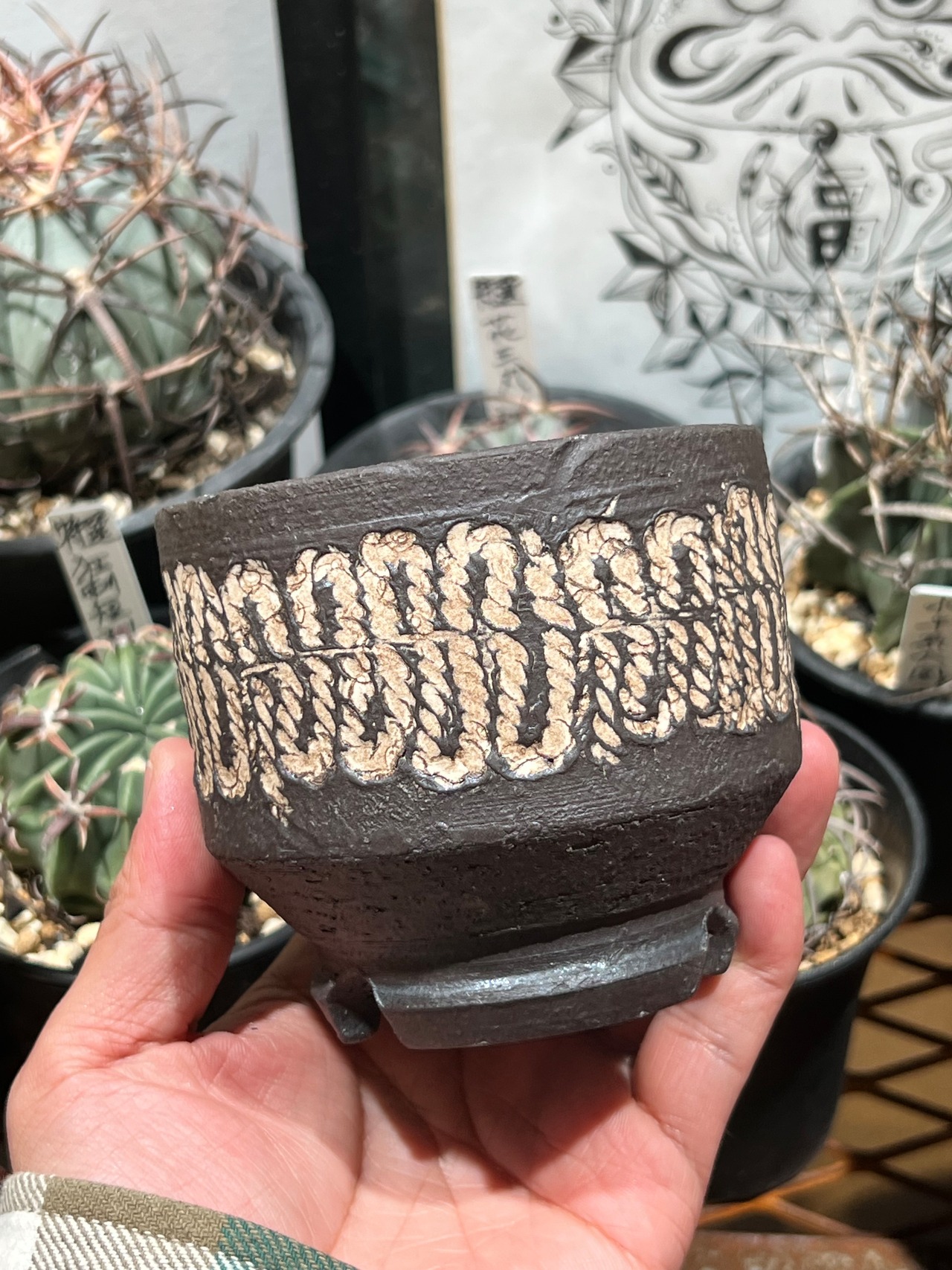 【児玉木霊】 新作植木鉢①