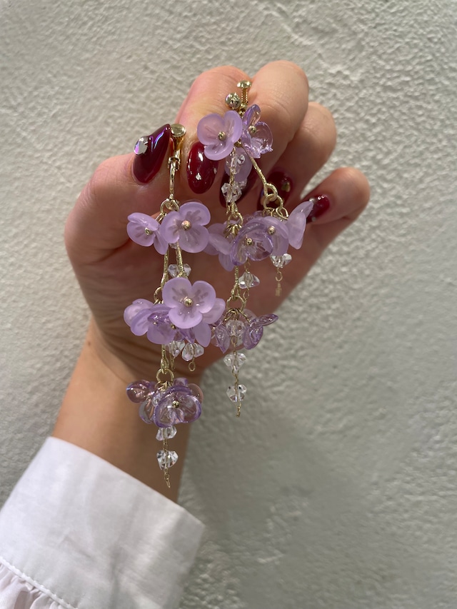 wisteria flower [pierce]