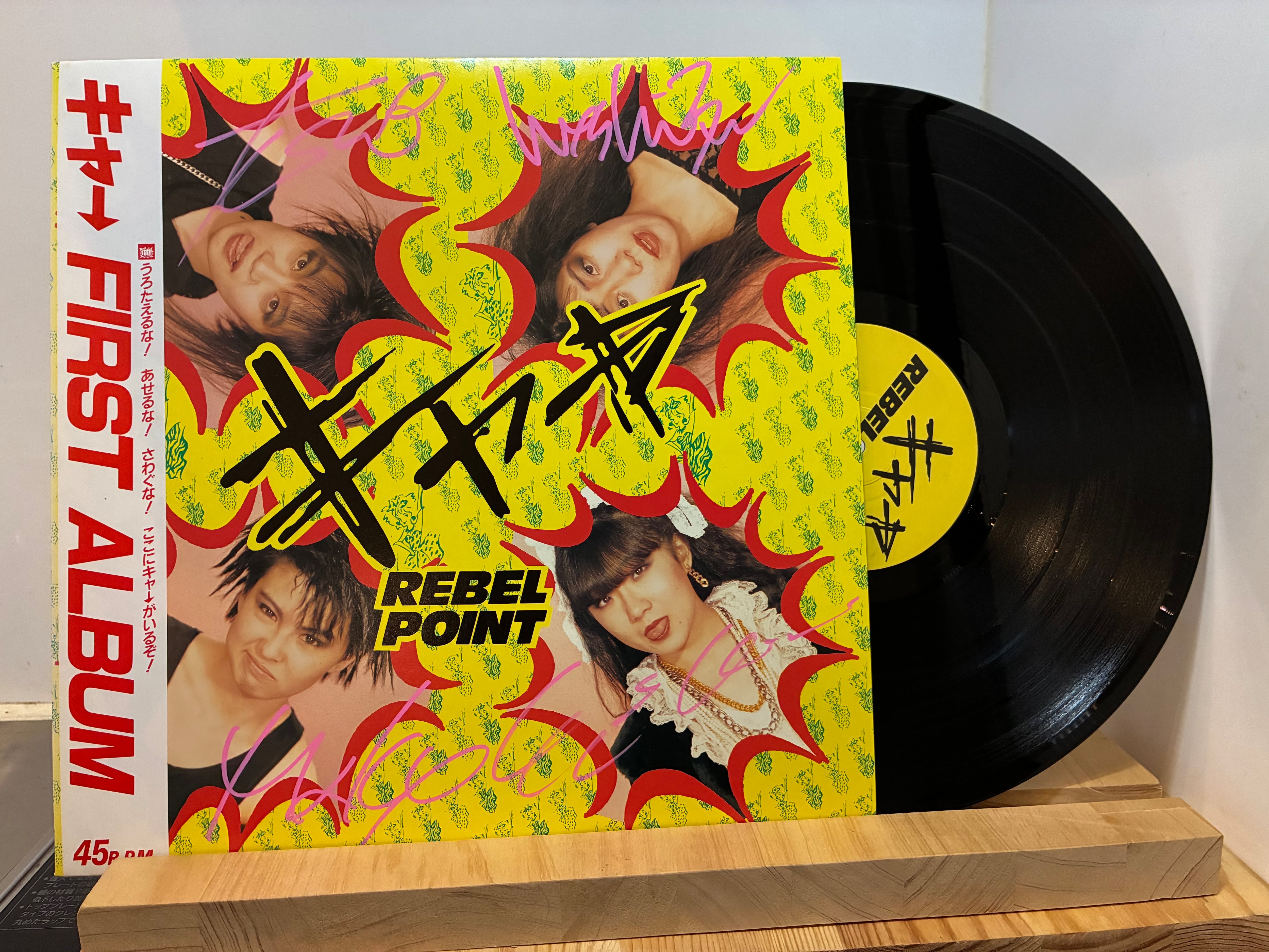 NIRVANA、rhcp、aphex twin レコードまとめ売り Aphex Twin の CD コレクション、できる限りコンプリートに。この