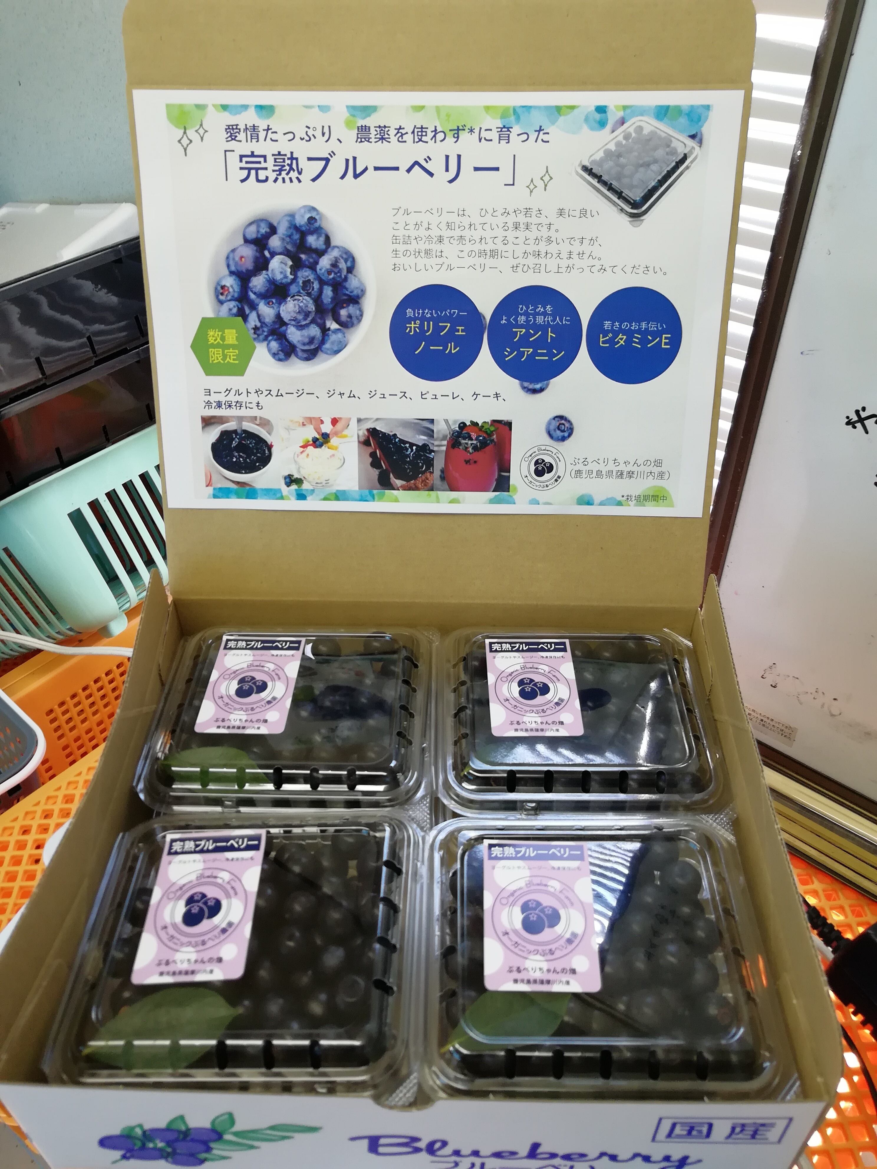 埼玉県産令和7年度冷凍ブルーベリー9キロ 楽天市場】【クーポン利用で200〜5000円OFF】【母の日におすすめ