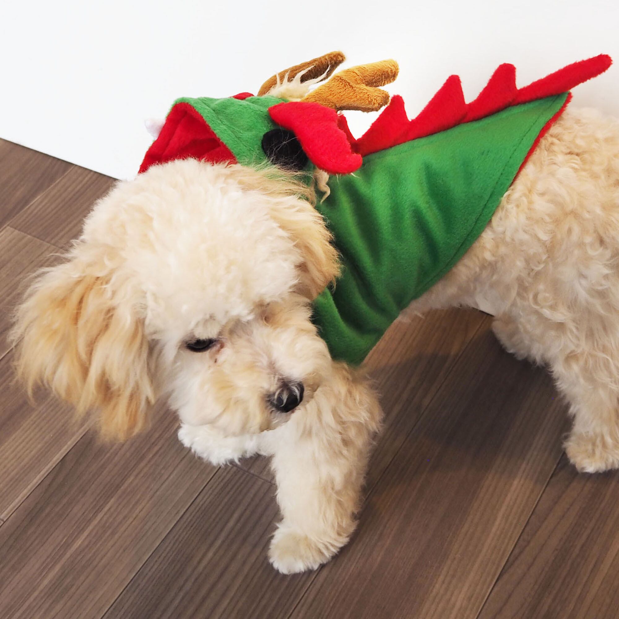 【ドッグウェア】 ドラゴンパーカー