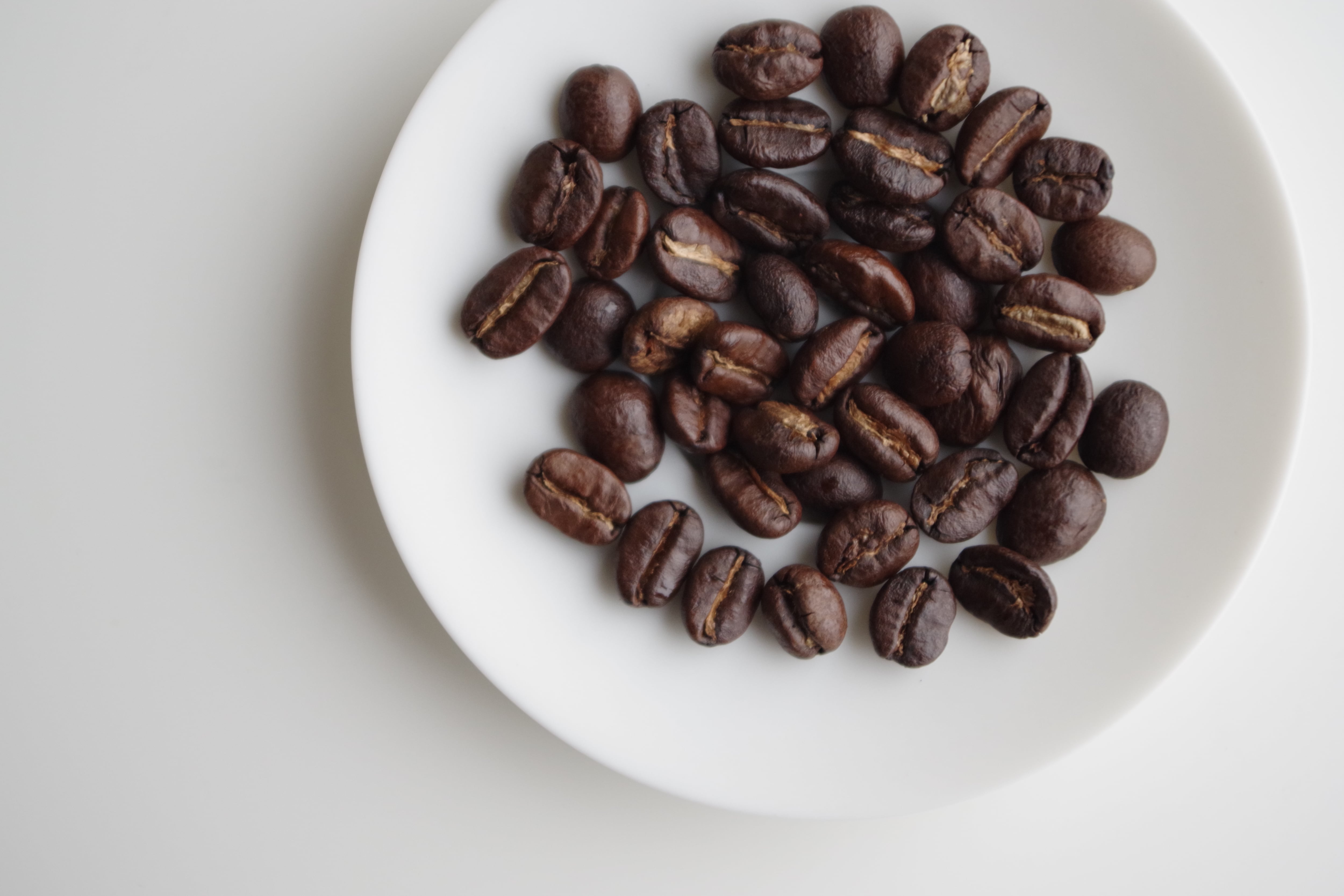 グアテマラ ファミリア・カスティージョ