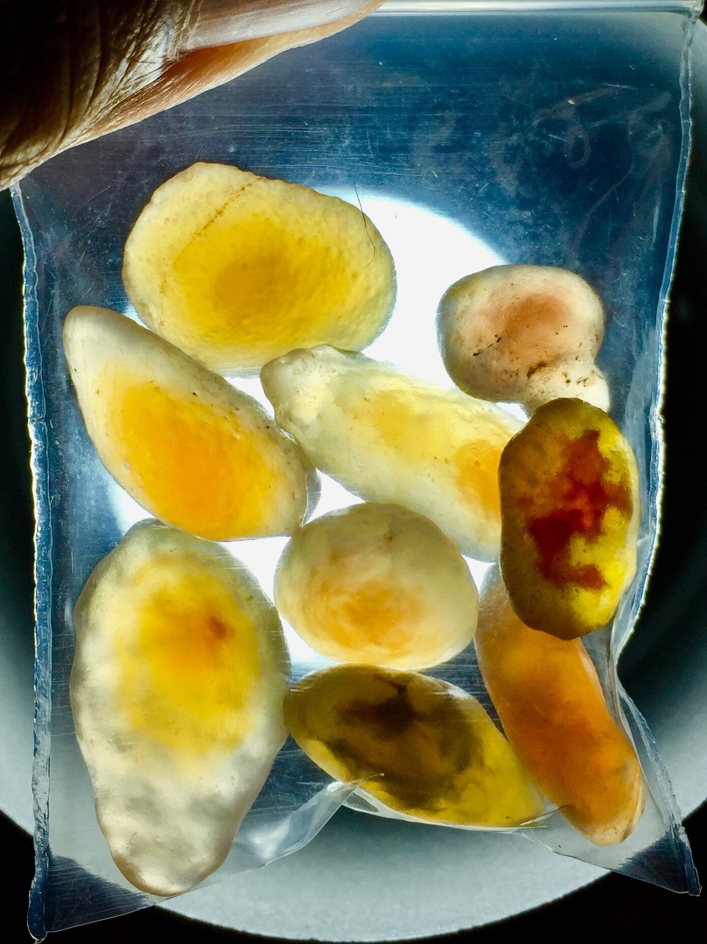 1) お徳用袋入り「クリア・キャンディ」ゴビアゲート