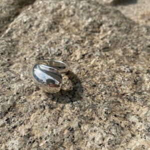 fossil ring