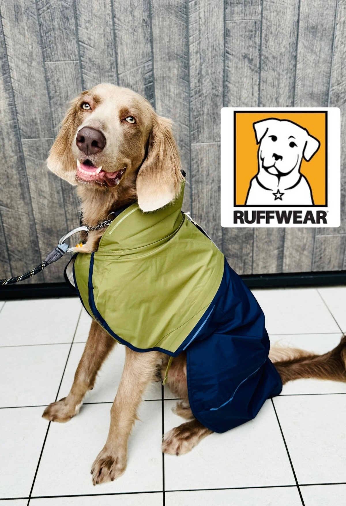 犬・RUFFWEAR/高機能レインコート ・サンシャワー ジャケット 