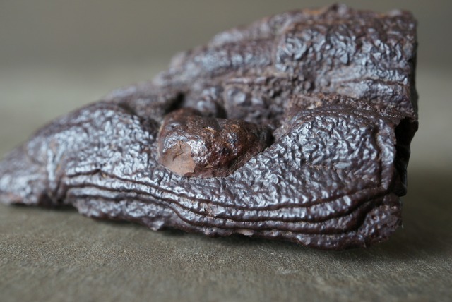 エジプト産ゼットストーン 特殊 Pseudomorph Goethite After Marcasite 1243