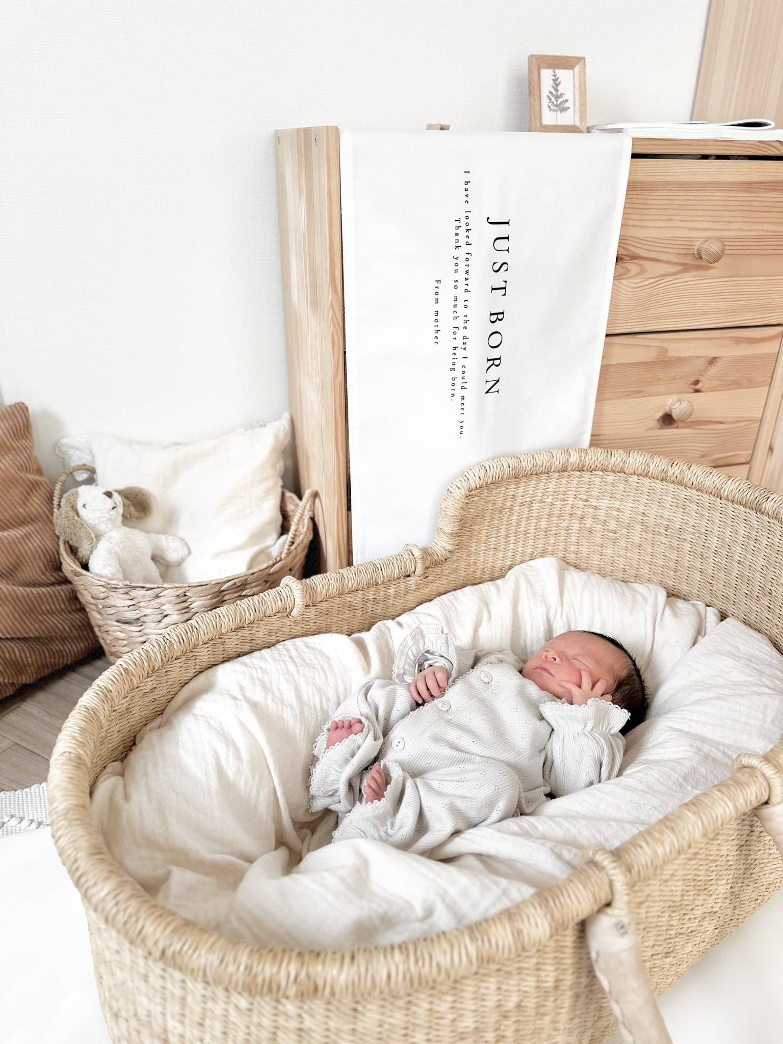 その他 NEWBORN T025 【 JUST BORN tapestry 】 ニューボーン 新生児 誕生祝い