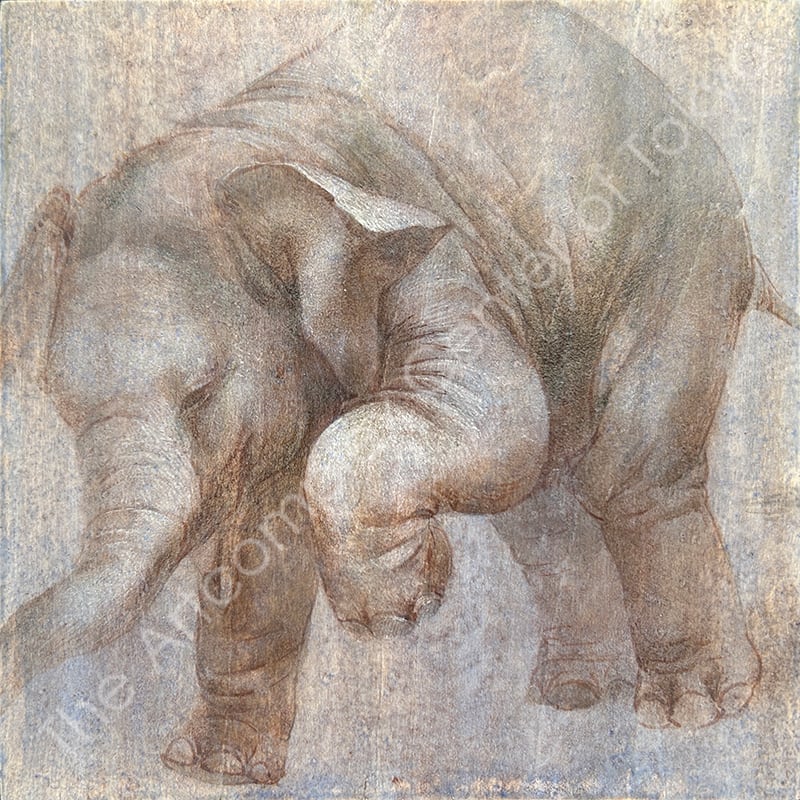 徐 思敏「いってらっしゃい」