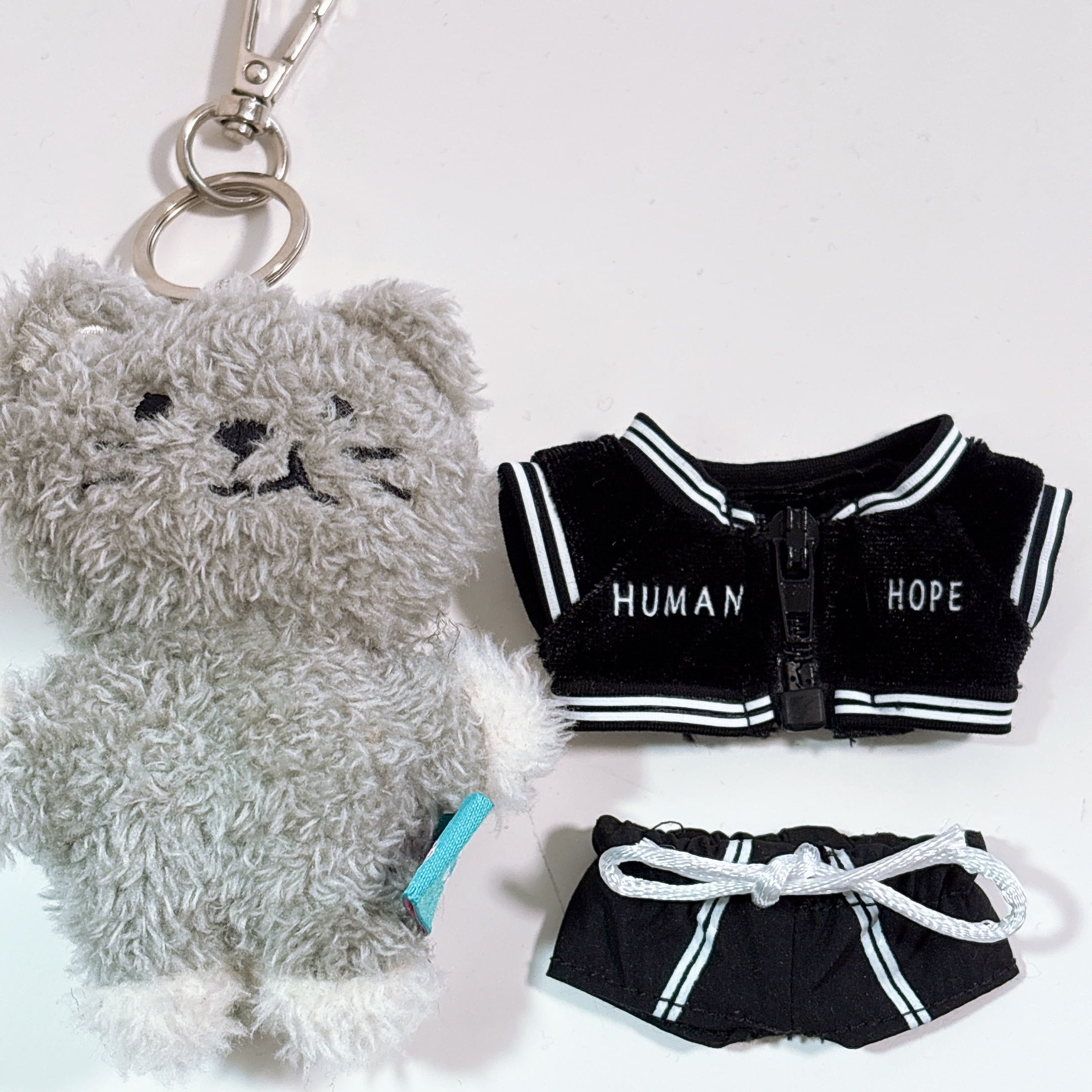 セブチTシャツ』SEVENTEEN ぬい服 ちびぬい 着せ替え ドール 人形 ホシ