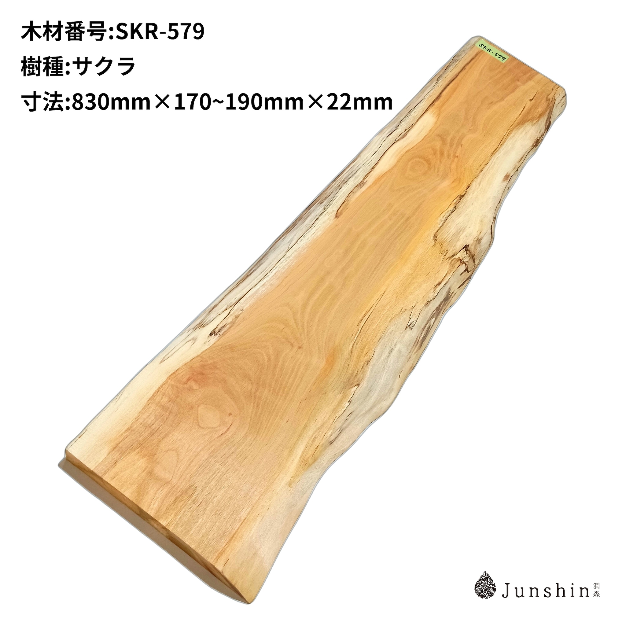 SKR-579