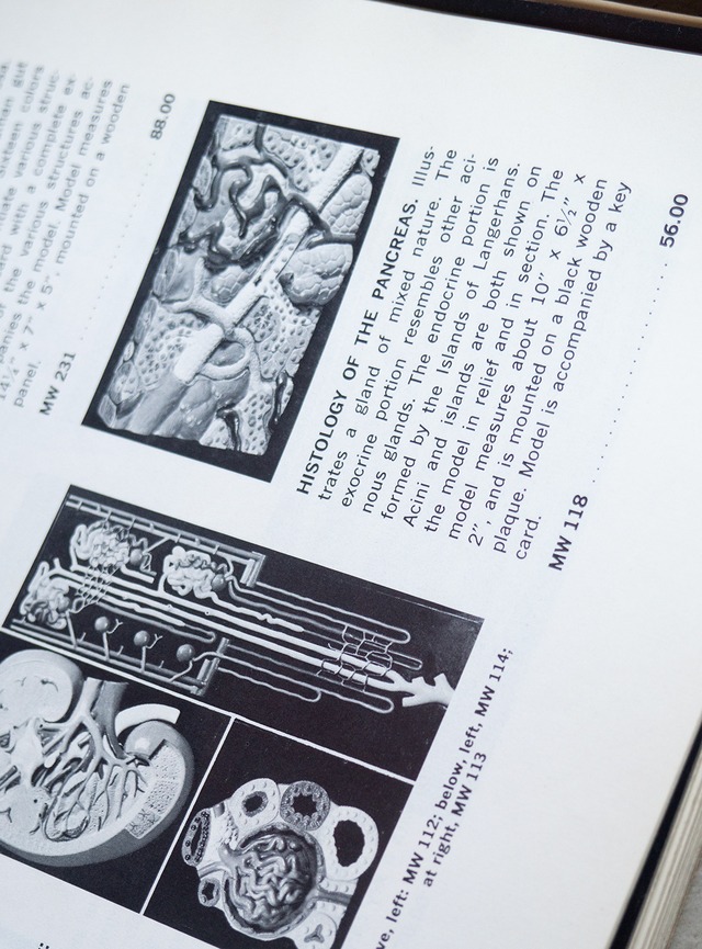 "WARD'S" 1960s  Catalog for biology book