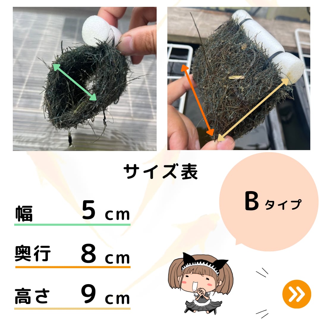 天然ヤシ材のメダカの産卵床【27個入り】