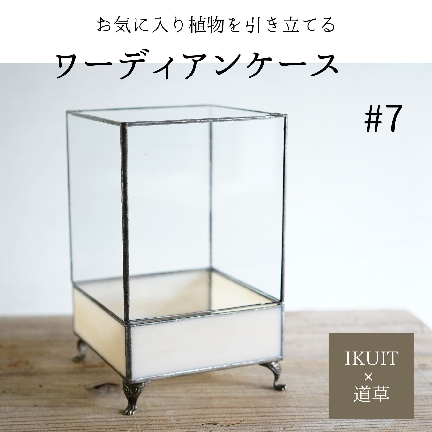 IKUIT×道草コラボ3弾】ワーディアンケース 白系 #7 | 苔テラリウム専門