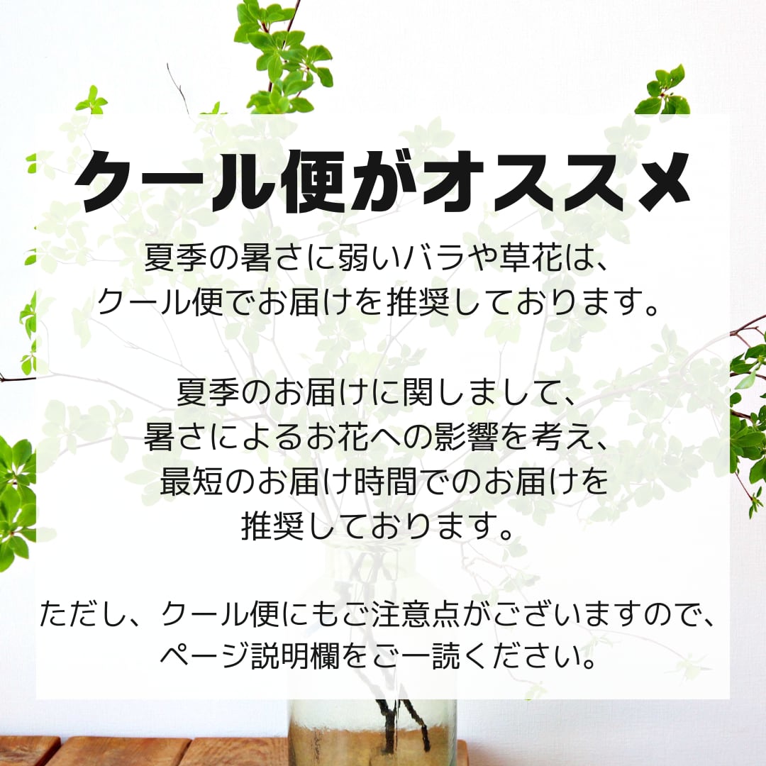 はるさん専用 クール便 はるさん専用 クール便