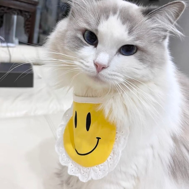 Smilyエプロン 猫 すたい