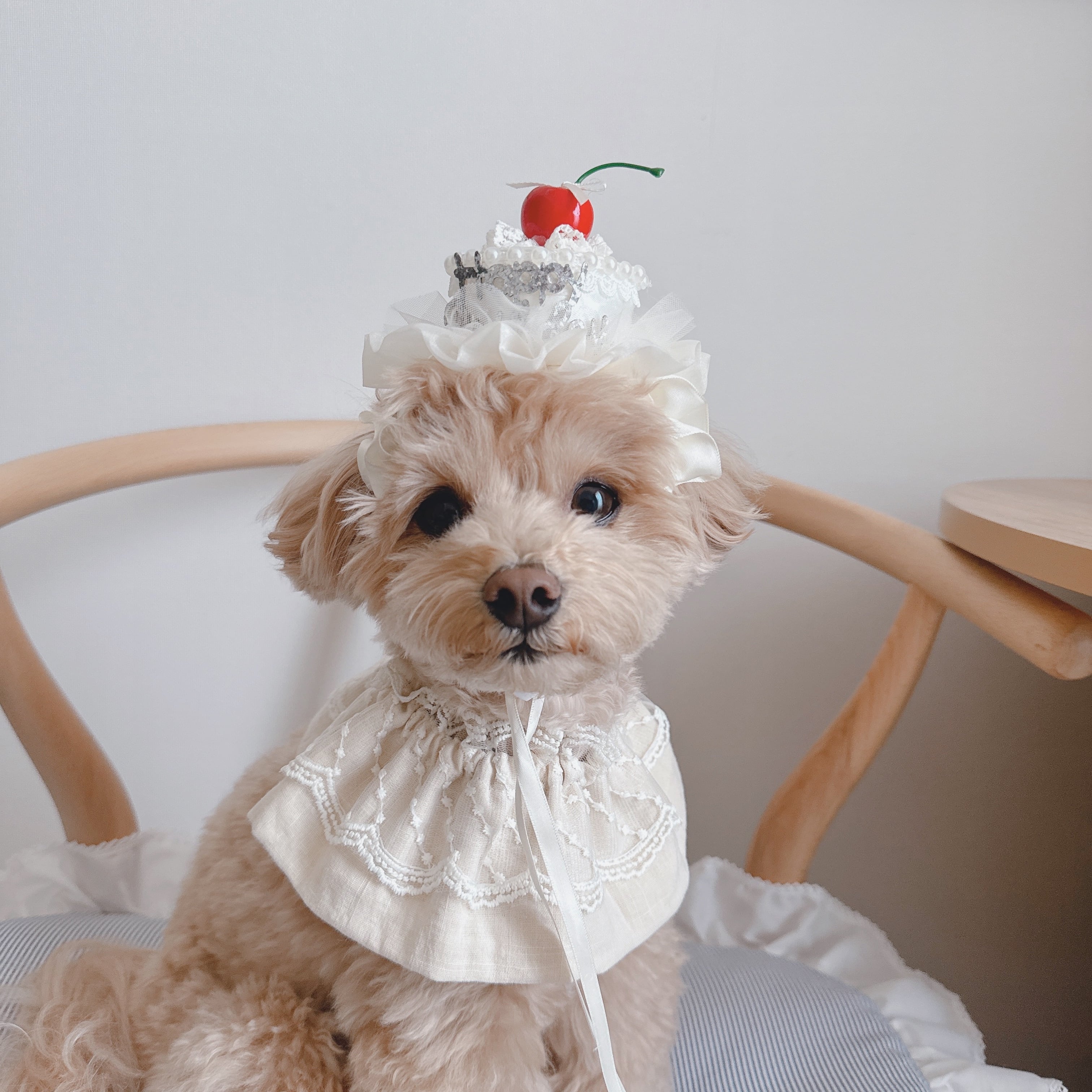 お誕生日ケーキヘットドレス