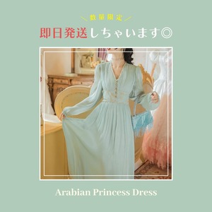 【SALE】Arabian Princess Dress  【なくなり次第販売終了】