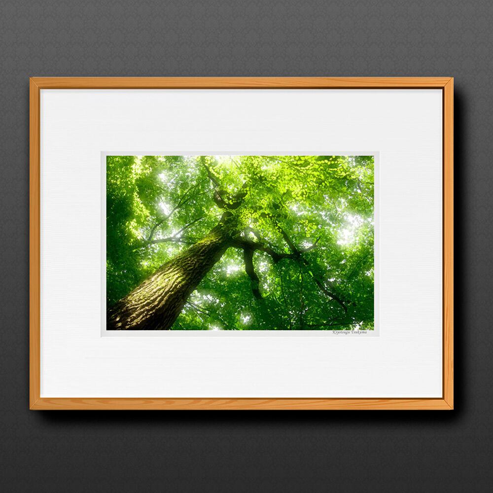 KOMOREBI #01 ■額縁サイズ(大全紙)726×544mm