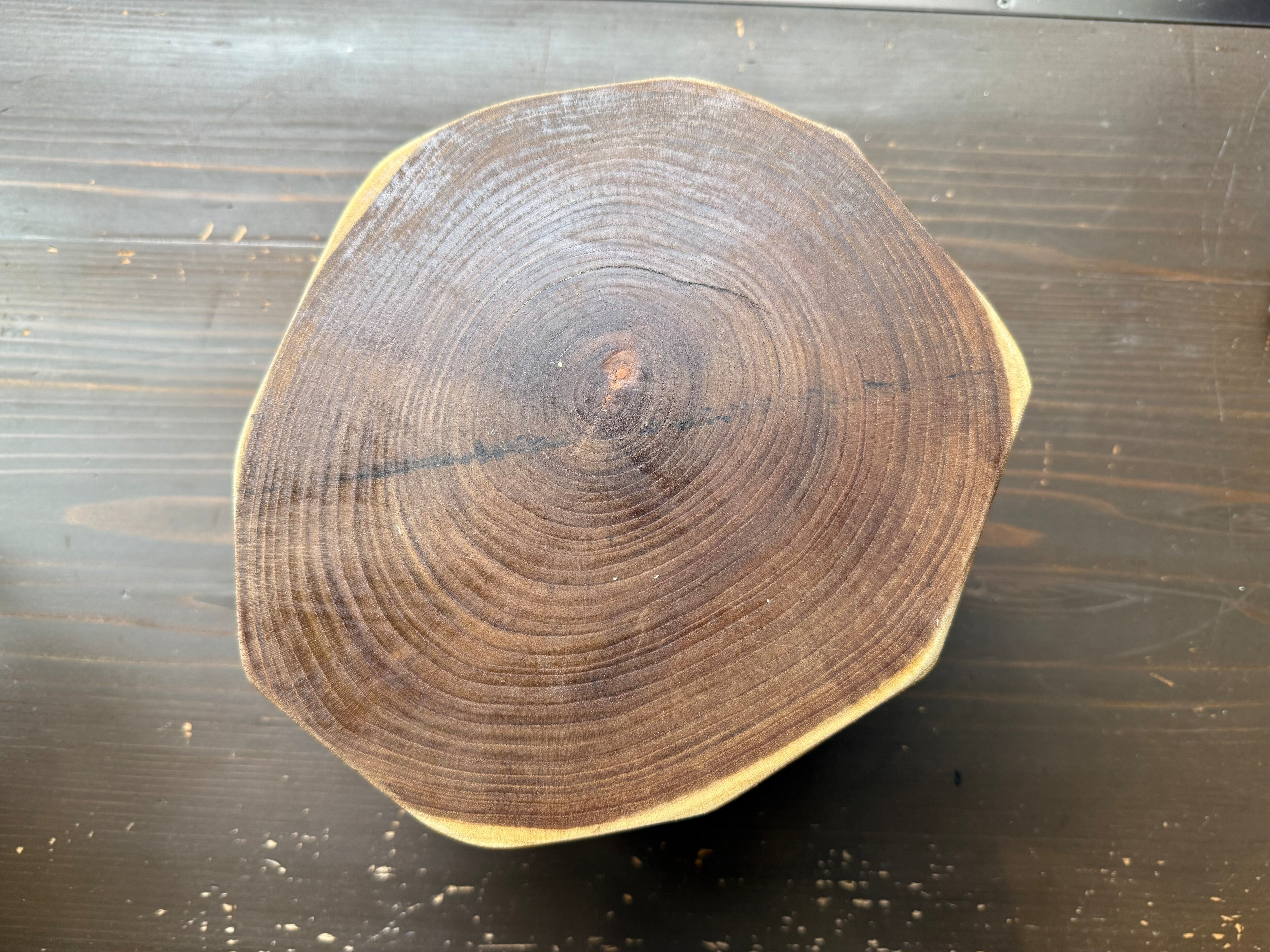 槐（えんじゅ）の木 台座 【縁起の良い木】 | 水窪の星の駅碧-AOI-